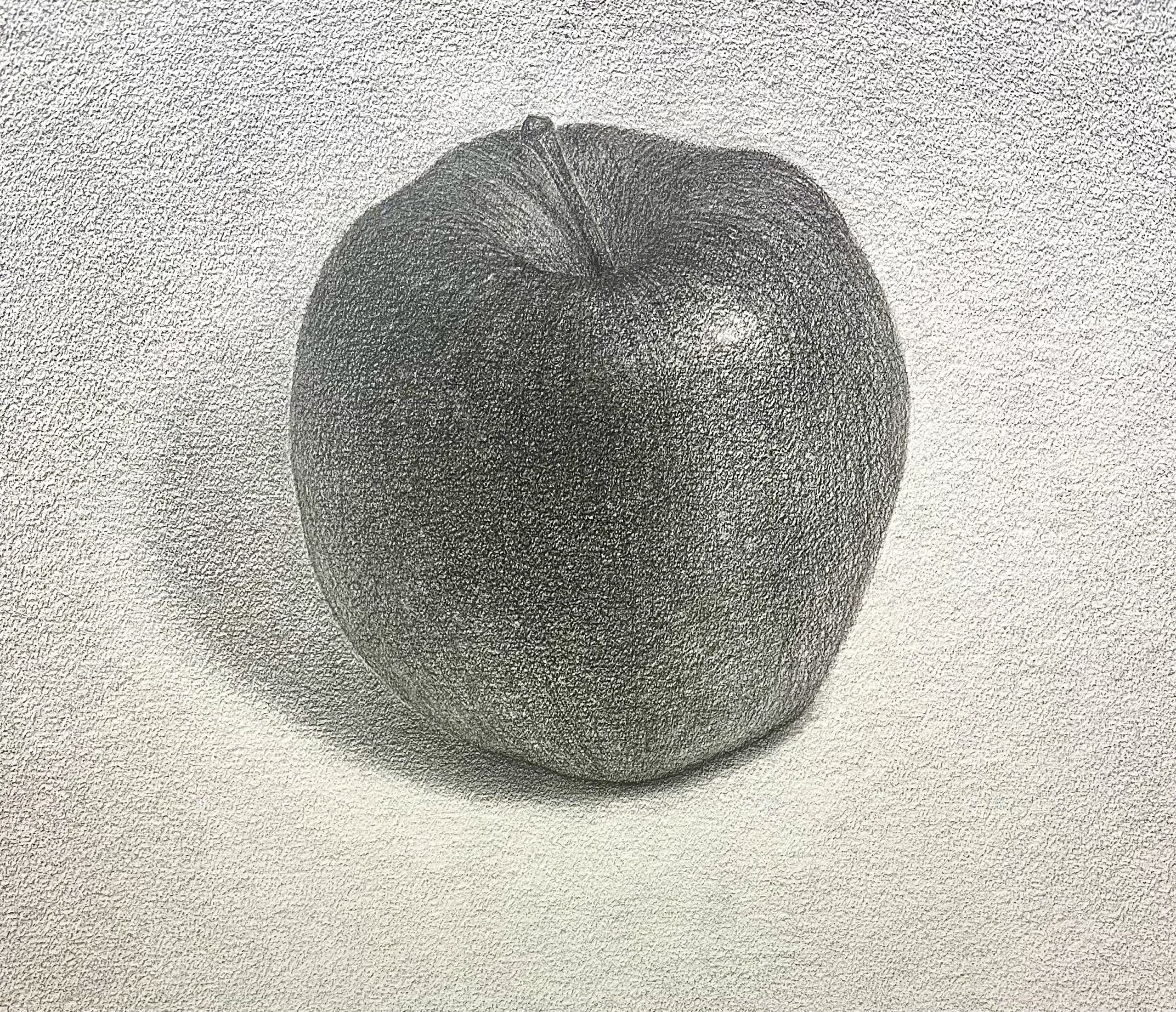 りんごの上手な描き方とは？ りんごからデッサンの基礎がすべて学べ
